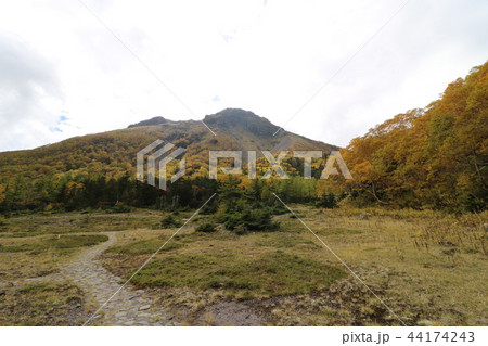 日光白根山の五色沼 44174243