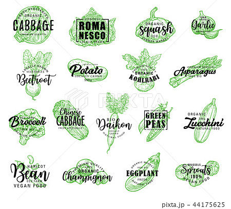 Vegetables, greenery and salads vector lettering Vegetables, greenery and salads vector lettering 44175625
