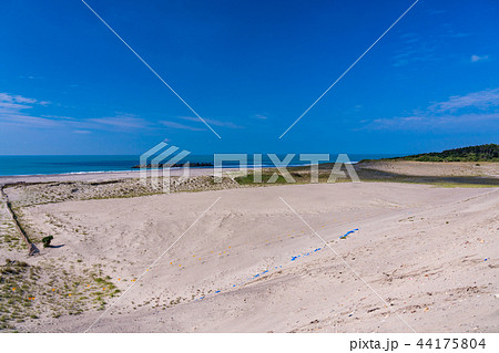 （静岡県）中田島砂丘 44175804