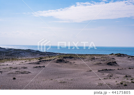 (静岡県)中田島砂丘 (静岡県)中田島砂丘 44175805