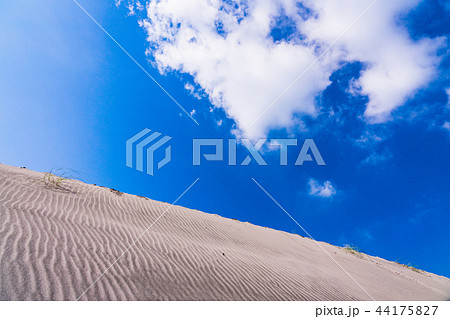 （静岡県）中田島砂丘 44175827