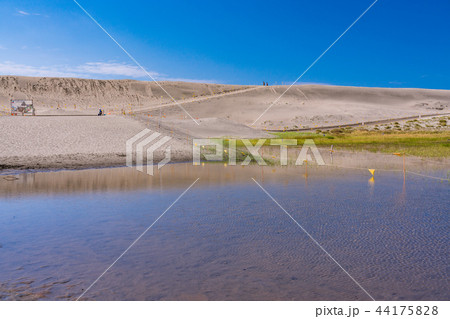 (静岡県)中田島砂丘 (静岡県)中田島砂丘 44175828