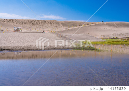 （静岡県）中田島砂丘 44175829