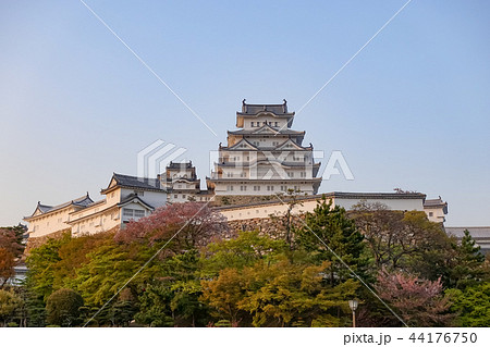 日本 ジャパン 日本国 44176750