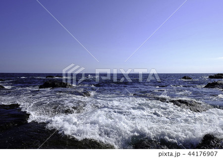 海岸の風景・江ノ島 44176907