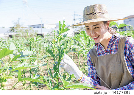 田舎暮らし 44177895