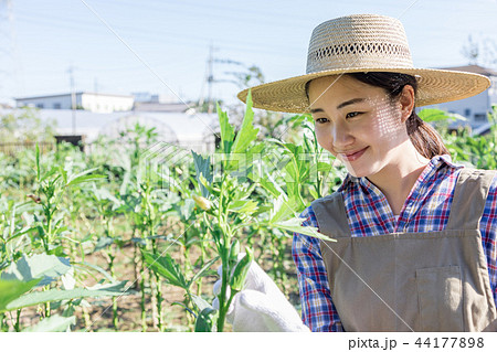 田舎暮らし 44177898