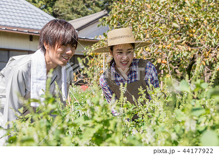 田舎暮らし 田舎暮らし 44177922
