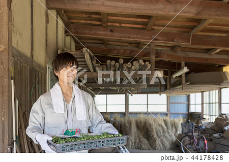 田舎暮らし 田舎暮らし 44178428