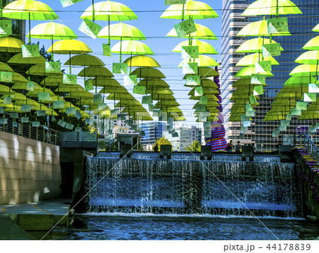 中区 ソウル市 傘 44178839