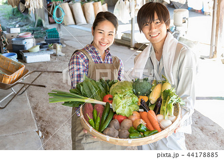 田舎暮らし 田舎暮らし 44178885