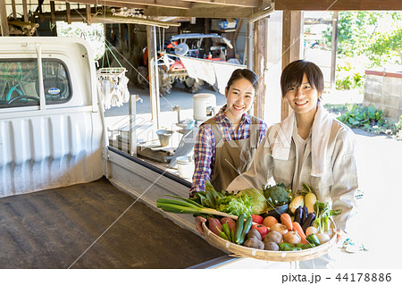 田舎暮らし 田舎暮らし 44178886
