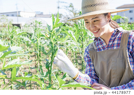 田舎暮らし 田舎暮らし 44178977