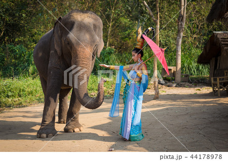 Thai girl with elephant 44178978