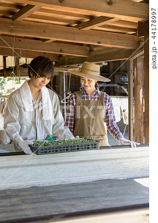 田舎暮らし 44178997