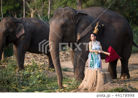 Thai girl with elephant 44178998