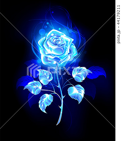 Burning Blue Rose Stock Illustration