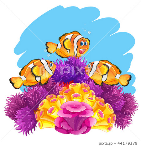 Crown fish playing in coral reef 44179379