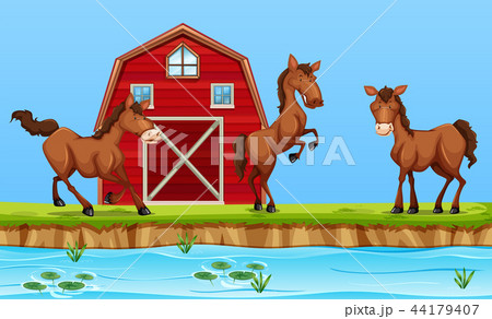 Horses in front of red barn 44179407