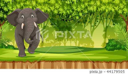 Eleplant in the jungle Eleplant in the jungle 44179505
