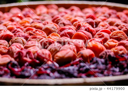 梅仕事 土用干し 44179900