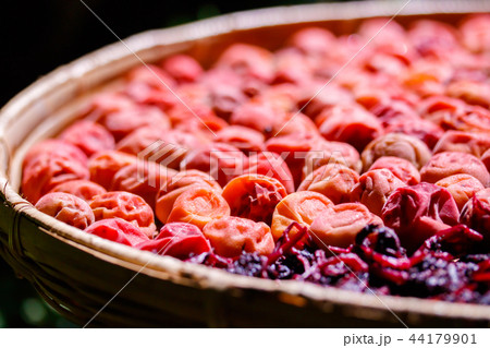 梅仕事 土用干し 44179901