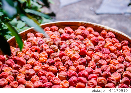 梅仕事 土用干し 44179910