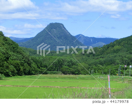 春の黄金山、2018年6月15日撮影 44179978