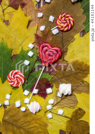 Bright autumn leaves marshmallow and candy Bright autumn leaves marshmallow and candy 44181144