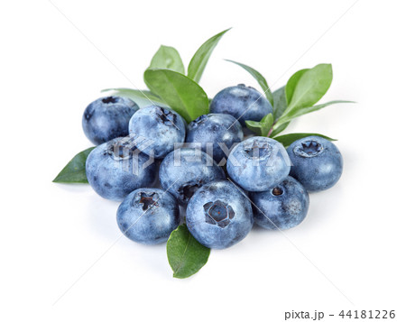 blueberry fruits isolated  44181226