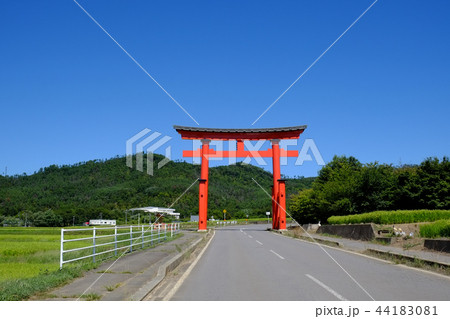 生島足島神社 大鳥居 44183081