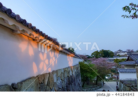 日本 ジャパン 日本国 44184843