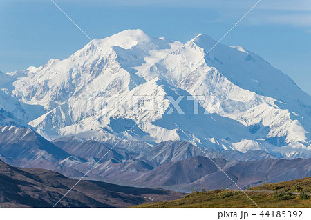 アラスカ デナリ国立公園(マッキンレー) Denali National Park 44185392