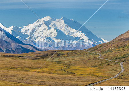 アラスカ デナリ国立公園(マッキンレー) Denali National Park 44185393