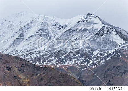 アラスカ デナリ国立公園(マッキンレー) Denali National Park 44185394