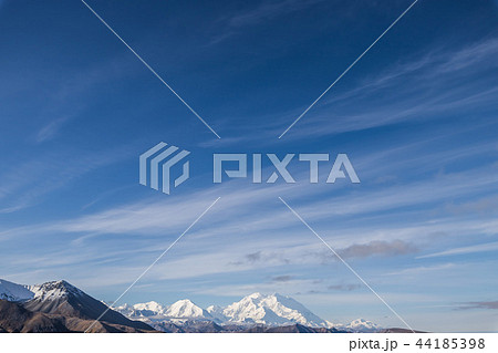 アラスカ デナリ国立公園(マッキンレー) Denali National Park 44185398