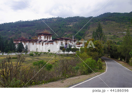 Pungtang Dechen Photrang Dzong, Punakha Dzong 44186096