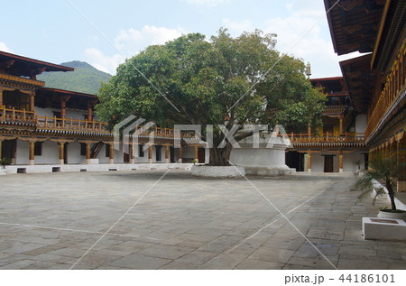 Administrative centre. Punakha Dzong, Bhutan 44186101