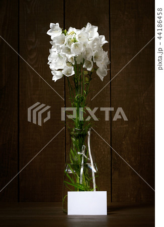 white flower in a vase on dark wood background 44186458