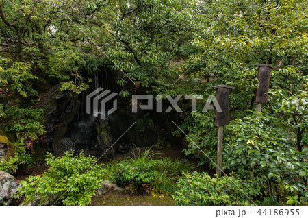 背景 バックグラウンド バックグランド 44186955