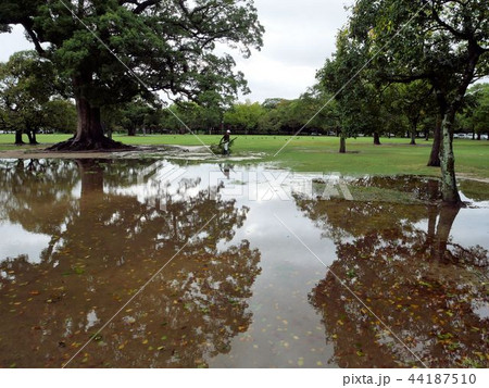 熊本城二の丸公園 台風の後片付け 熊本城二の丸公園 台風の後片付け 44187510