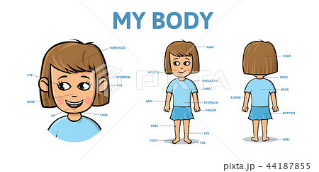 Vocabulary for parts of female body. Cartoon girl body with description. Flat vector illustration 44187855