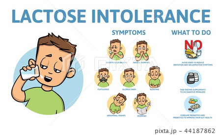 Lactose intolerance symptoms and treatment. Infographic poster with text and character. Flat vector Lactose intolerance symptoms and treatment. Infographic poster with text and character. Flat vector 44187862