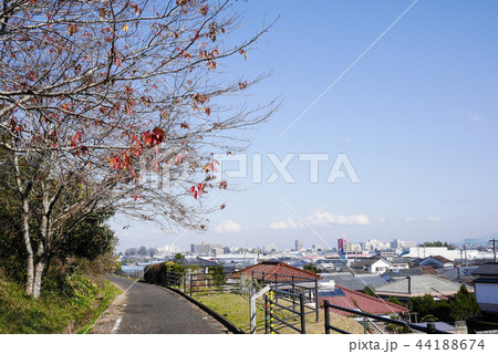 宮崎 44188674