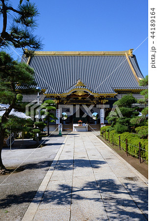 佐野厄除け大師 44189164