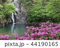 谷 川 河 44190165