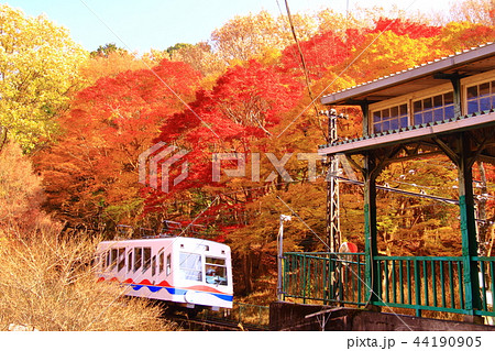 叡山ケーブル駅周辺（京都市左京区）の紅葉 44190905