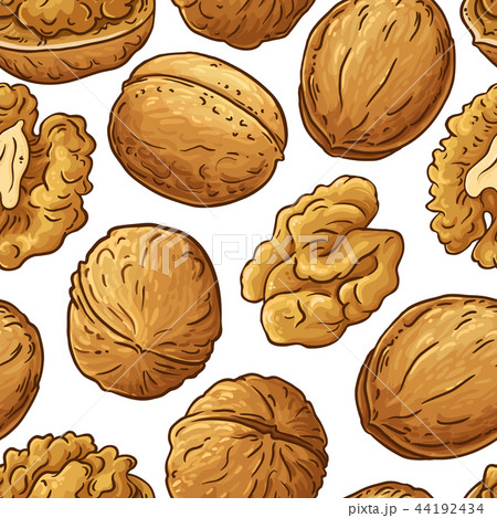 walnut vector pattern walnut vector pattern 44192434
