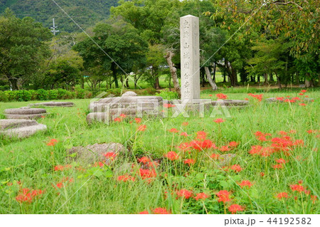 彼岸花の咲く加茂・恭仁京跡１ 44192582