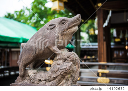 猪像 京都護王神社 猪像 京都護王神社 44192632